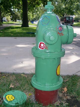 Girl Scouts - 519 S. Cornell (2)